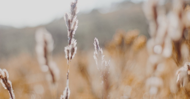 Teen Therapy (Ages 13–17)